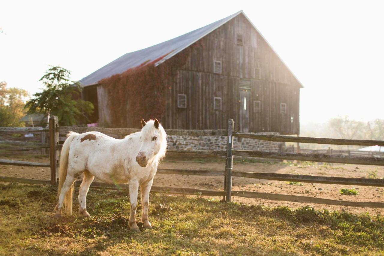 Gettysburg Battlefield Bed & Breakfast Inn Exteriér fotografie